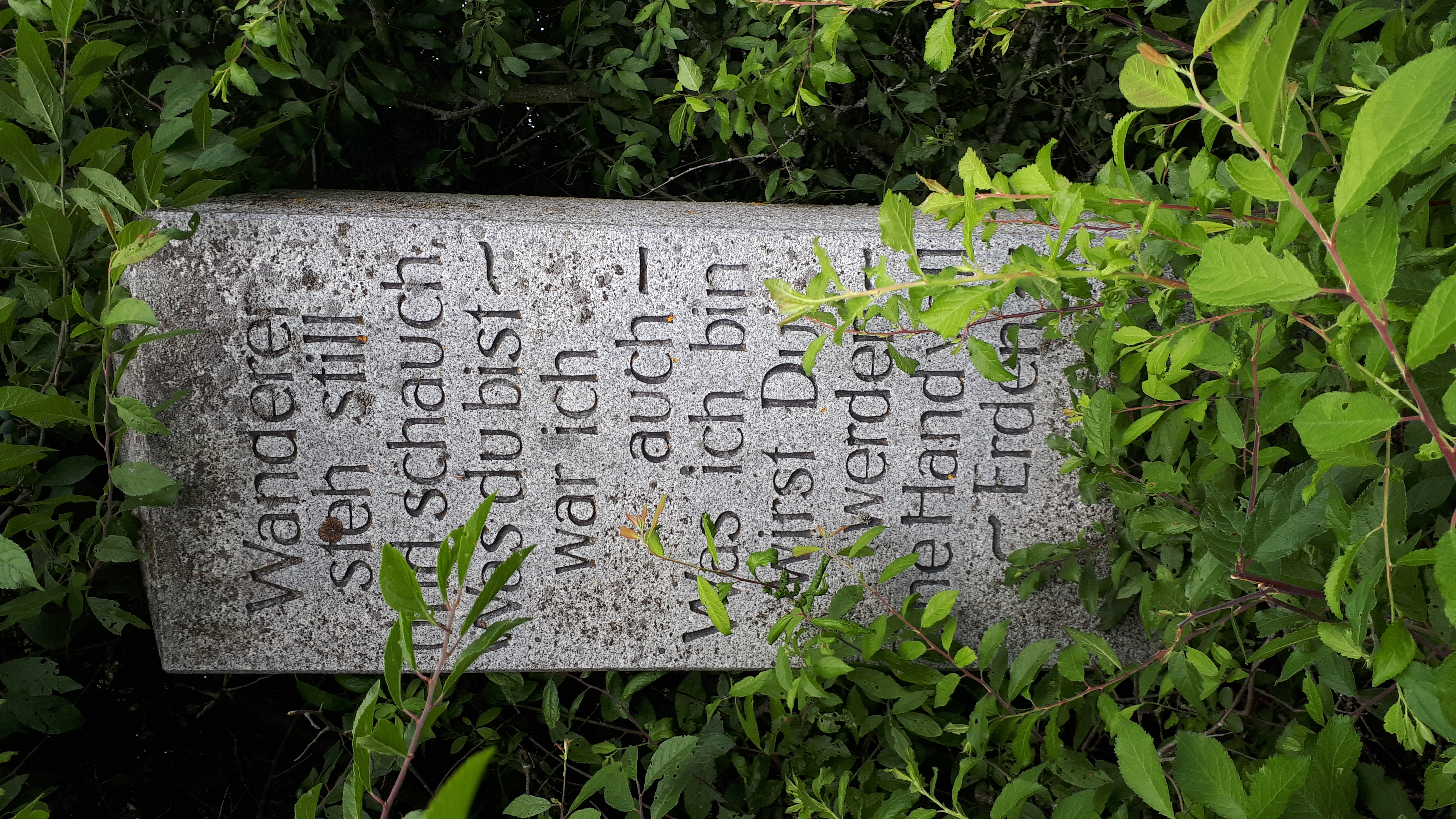 Kammweg-Goldsteig 2020